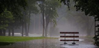Meteorological Department Has Predicted Rain in Punjab