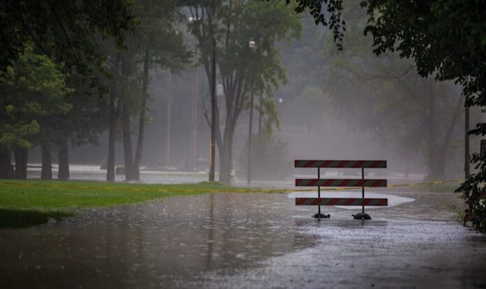 Meteorological Department Has Predicted Rain in Punjab