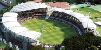 Pakistani Origin Australian Cricketer Dies After On-Field Collapse
