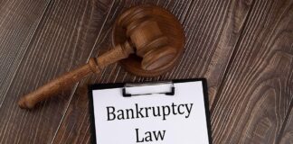 Government Introduces Bankruptcy Law to Support Businesses and Revive Industries