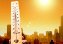 Warm and Dry Weather of Karachi to Continue in Coming Days