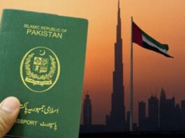 UAE Confirms No Official Visa Ban on Pakistani Nationals