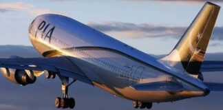 PIA Privatisation Delayed Once Again