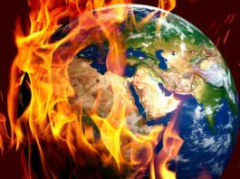 The Vital Signs are Failing: Is Earth Dying?