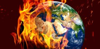 The Vital Signs are Failing: Is Earth Dying?