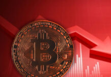 Bitcoin Falls by 7% Following Trump’s Tariff Plans