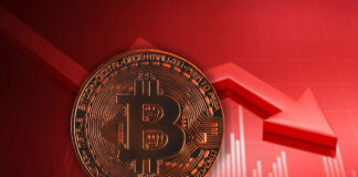Bitcoin Falls by 7% Following Trump’s Tariff Plans
