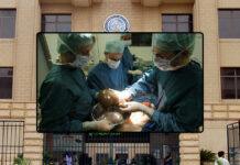 Dow University of Healthy Sciences Marks 190th Liver Transplant