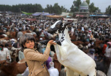 Eid-ul-Adha 2025 Expected Dates Revealed for Pakistan