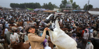 Eid-ul-Adha 2025 Expected Dates Revealed for Pakistan