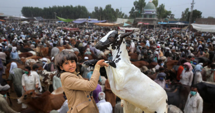 Eid-ul-Adha 2025 Expected Dates Revealed for Pakistan