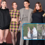 Euphoria Season 3 Buzz: What About Cassie?