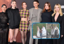 Euphoria Season 3 Buzz: What About Cassie?