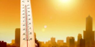 Scorching Days Ahead: Karachi to Remain Hot and Humid
