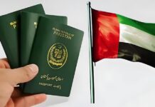 Pakistanis Can Now Apply for 5-Year UAE Visas
