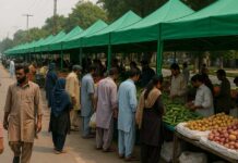 Punjab Approves 'Sahulat-on-the-Go Bazaars' Project