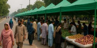Punjab Approves 'Sahulat-on-the-Go Bazaars' Project