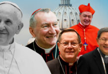Who Could Replace Pope Francis? A Glimpse at the Possible Candidates