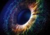Olo: Scientists Discover a New Colour Invisible to Human Eye