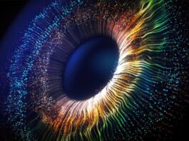 Olo: Scientists Discover a New Colour Invisible to Human Eye