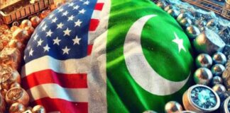 US Companies Are Wishing to Invest in Pakistan's Mineral Sector
