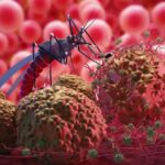 World Malaria Day: Is Climate Change Worsening Malaria?
