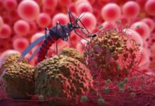 World Malaria Day: Is Climate Change Worsening Malaria?