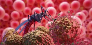 World Malaria Day: Is Climate Change Worsening Malaria?