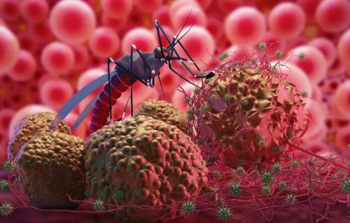 World Malaria Day: Is Climate Change Worsening Malaria?