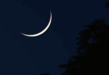 Eidul Azha likely to be celebrated on June 7, says Suparco