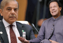 Imran Khan Agrees to PM Shehbaz’s Invitation for Dialogue