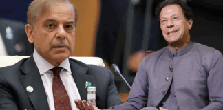 Imran Khan Agrees to PM Shehbaz’s Invitation for Dialogue