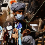 Karachi Bans Illegal Cattle Markets Under Section 144