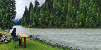 Neelum Valley Faces Blackout Amid Pak-India Border Tensions