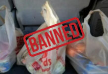 Sindh Government Bans All Plastic Bags From June 15