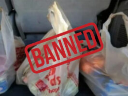 Sindh Government Bans All Plastic Bags From June 15