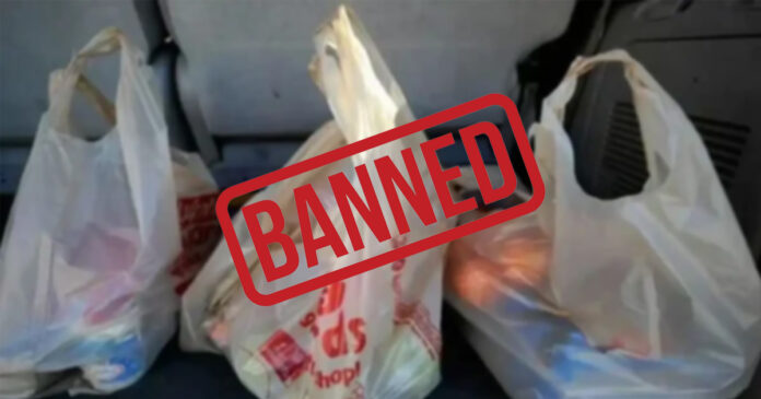 Sindh Government Bans All Plastic Bags From June 15