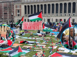 The Struggle Continues: Dozens of Pro-Palestinian Students Protest at Columbia University