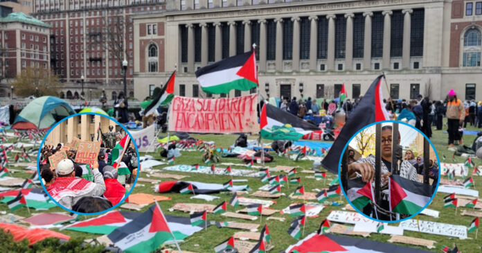 The Struggle Continues: Dozens of Pro-Palestinian Students Protest at Columbia University