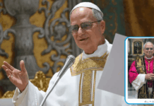 The Vatican has revealed Pope Leo XIV’s first official portrait.
