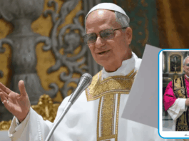 The Vatican has revealed Pope Leo XIV’s first official portrait.