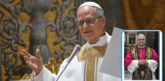 The Vatican has revealed Pope Leo XIV’s first official portrait.
