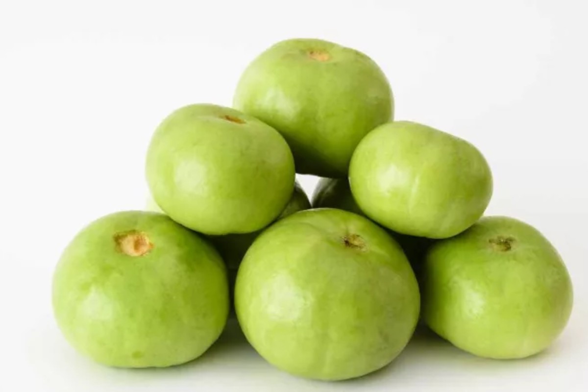 Tinda (Round Gourd)