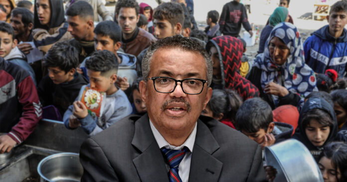WHO Warns Two Million Starving in Gaza
