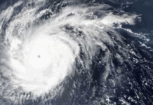 Weather Alert System Over Arabian Sea May Develop Into a Cyclone