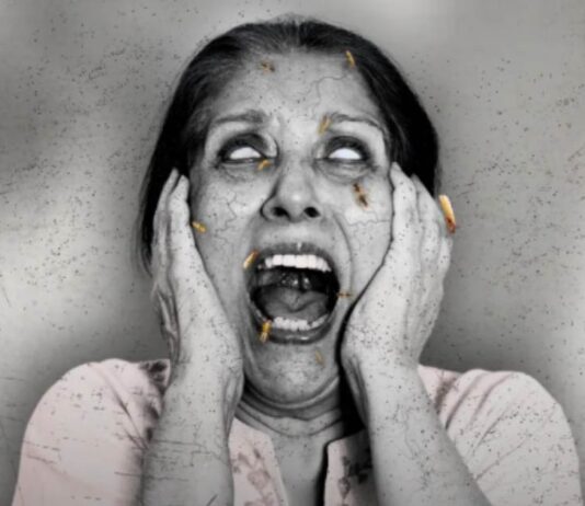 deemak-is-the-super-natural-horror-worth-your-money