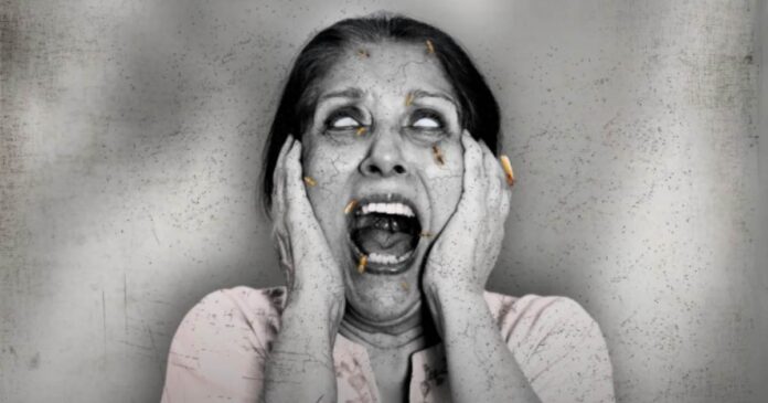 deemak-is-the-super-natural-horror-worth-your-money