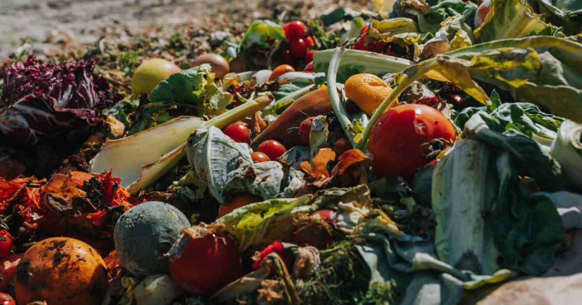 reduce-food-waste