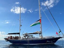 doing-nothing-is-not-an-option-the-freedom-flotilla-proves-it