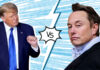 musk-regrets-trump-tweets-but-how-did-it-go-so-far